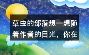 草蟲(chóng)的部落想一想隨著作者的目光，你在“曹操的部落”看到了什么，印象最深的有哪些？