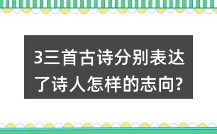 3、三首古詩(shī)分別表達(dá)了詩(shī)人怎樣的志向?表達(dá)的方法有什么共同特點(diǎn)?