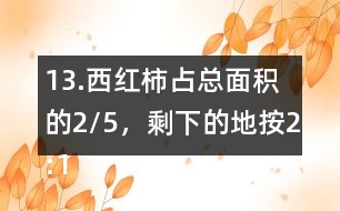 13.西紅柿占總面積的2/5，剩下的地按2:1的比種黃瓜和茄子。