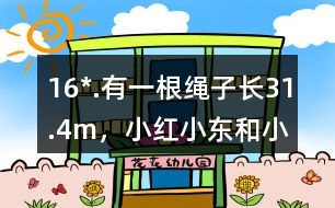 16*.有一根繩子長31.4m，小紅、小東和小林分別想用這根繩子在操場上圍出一塊地。