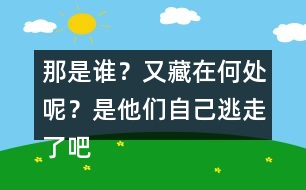 那是誰？又藏在何處呢？是他們自己逃走了吧……這樣表達(dá)好處在哪里？