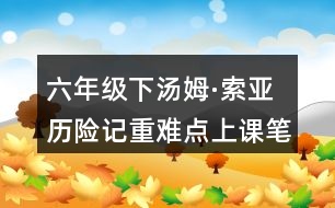 六年級(jí)下湯姆·索亞歷險(xiǎn)記重難點(diǎn)上課筆記