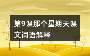 第9課那個(gè)星期天課文詞語(yǔ)解釋