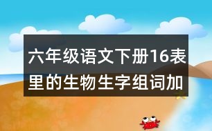 六年級(jí)語(yǔ)文下冊(cè)16表里的生物生字組詞加拼音