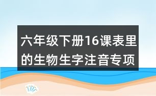 六年級下冊16課表里的生物生字注音專項練習答案