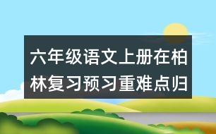 六年級語文上冊在柏林復(fù)習(xí)預(yù)習(xí)重難點歸納筆記