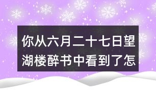 你從六月二十七日望湖樓醉書中看到了怎樣的一幅畫面？