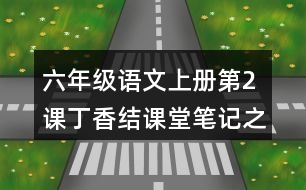 六年級(jí)語文上冊(cè)第2課丁香結(jié)課堂筆記之本課重難點(diǎn)