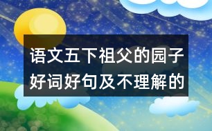 語(yǔ)文五下祖父的園子好詞好句及不理解的詞語(yǔ)