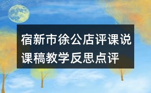 宿新市徐公店評(píng)課說(shuō)課稿教學(xué)反思點(diǎn)評(píng)