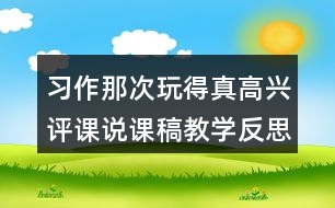 習(xí)作：那次玩得真高興評課說課稿教學(xué)反思點(diǎn)評