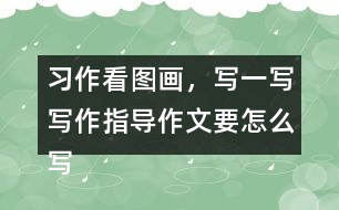 習(xí)作：看圖畫，寫一寫寫作指導(dǎo)作文要怎么寫