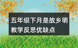 五年級下月是故鄉(xiāng)明教學(xué)反思優(yōu)缺點