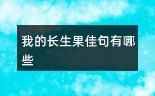 我的長生果佳句有哪些