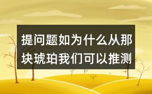 提問題如：為什么從那塊琥珀我們可以推測(cè)出幾千萬年前故事？