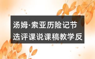 湯姆·索亞歷險記節(jié)選評課說課稿教學(xué)反思