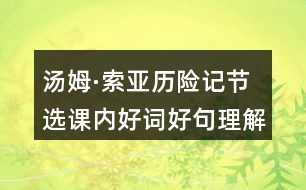 湯姆·索亞歷險記節(jié)選課內好詞好句理解