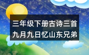 三年級(jí)下冊古詩三首九月九日憶山東兄弟生字組詞字詞解釋