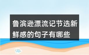 魯濱遜漂流記節(jié)選新鮮感的句子有哪些