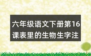 六年級(jí)語(yǔ)文下冊(cè)第16課表里的生物生字注音組詞