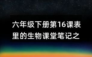 六年級下冊第16課表里的生物課堂筆記之句子解析