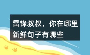 雷鋒叔叔，你在哪里新鮮句子有哪些