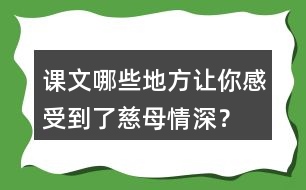 課文哪些地方讓你感受到了慈母情深？