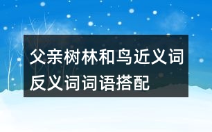 父親、樹(shù)林和鳥(niǎo)近義詞反義詞詞語(yǔ)搭配