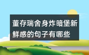 董存瑞舍身炸暗堡新鮮感的句子有哪些