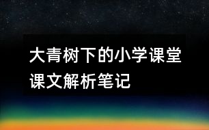 大青樹下的小學(xué)課堂課文解析筆記