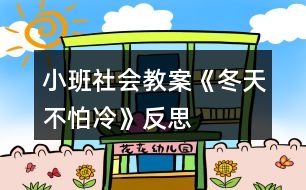 小班社會教案《冬天不怕冷》反思