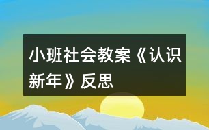 小班社會教案《認(rèn)識新年》反思