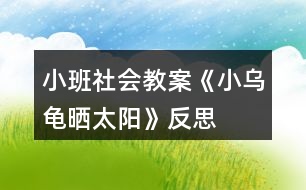 小班社會(huì)教案《小烏龜曬太陽(yáng)》反思