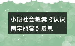 小班社會教案《認識國寶熊貓》反思