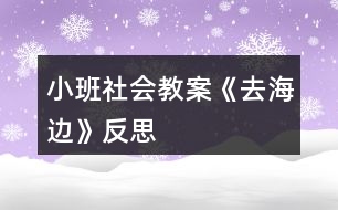 小班社會教案《去海邊》反思