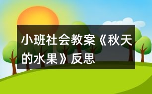 小班社會教案《秋天的水果》反思