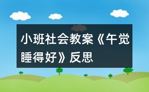 小班社會教案《午覺睡得好》反思