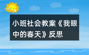 小班社會教案《我眼中的春天》反思