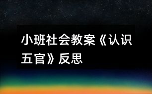 小班社會教案《認識五官》反思