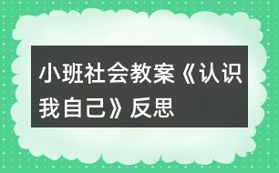 小班社會(huì)教案《認(rèn)識(shí)我自己》反思