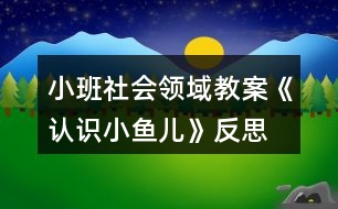 小班社會領(lǐng)域教案《認(rèn)識小魚兒》反思