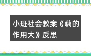 小班社會(huì)教案《藕的作用大》反思