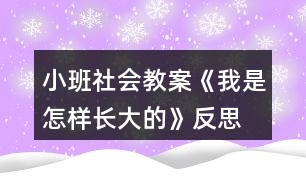 小班社會教案《我是怎樣長大的》反思