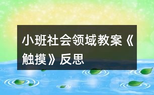 小班社會(huì)領(lǐng)域教案《觸摸》反思