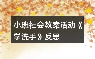 小班社會教案活動《學洗手》反思