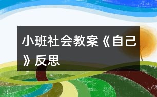 小班社會教案《自己》反思