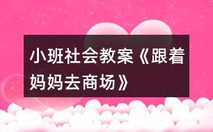 小班社會教案《跟著媽媽去商場》