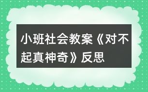 小班社會教案《對不起真神奇》反思