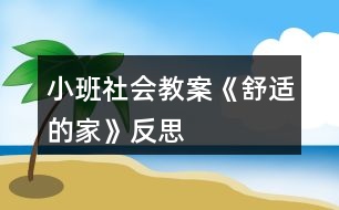 小班社會(huì)教案《舒適的家》反思