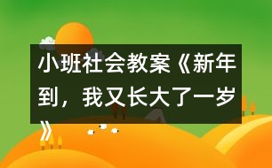 小班社會教案《新年到，我又長大了一歲》反思